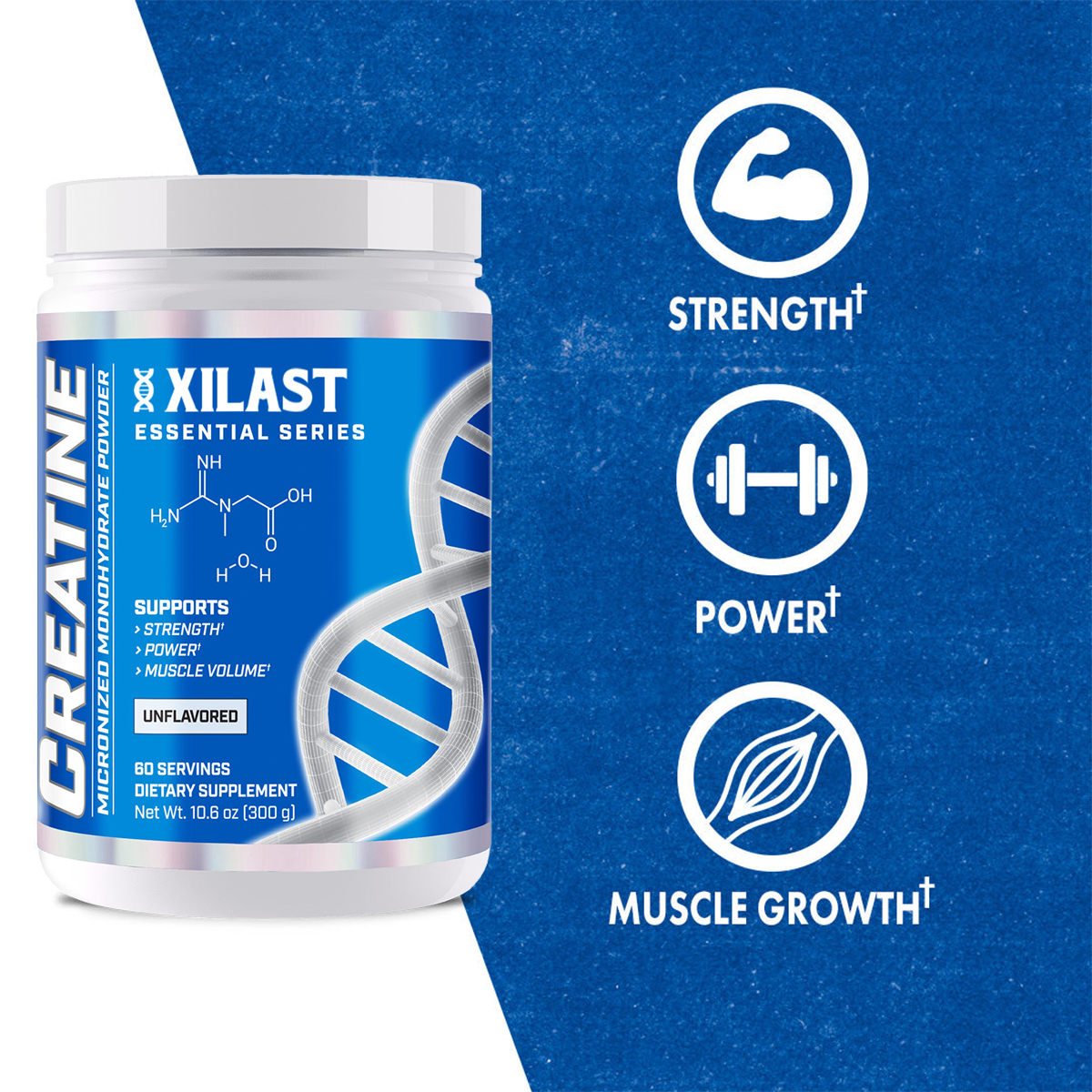 Xilast Creatine Monohydrate